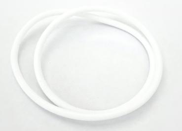 SeaFrogs O-Ring S100/S110/S120/RX100