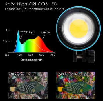 X-LIGHT M8000 Hybrid Videolampe 8000/15000 Lumen