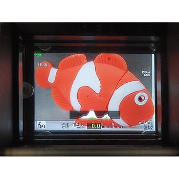 D&D FANTASEA FG/FA/FRX 90° Sportsucher