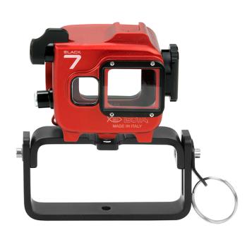 Preview: ISOTTA  Goodman