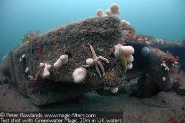 Preview: MAGIC Filters GreenWater Magic Filter GWMN16-3