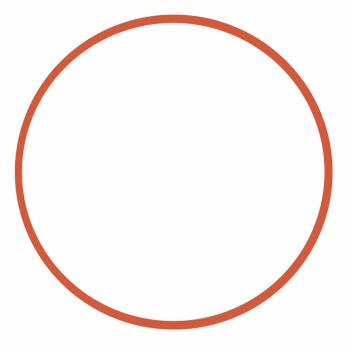 IKELITE O-Ring Digital Gehäuse klein