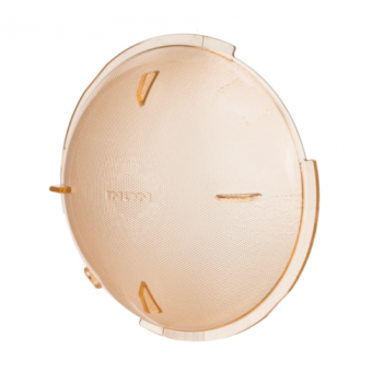 INON Blitz Dome Filter 4600K für Inon Z-330/ D-200