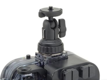 INON Shoe Base 1/4-20UNC