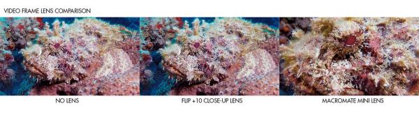 BACKSCATTER +15 MacroMate Mini Underwater Macro Lens for GoPro 3, 3+, 4, 5, 6, 7, 8, 9, 10, 11, 12, 13