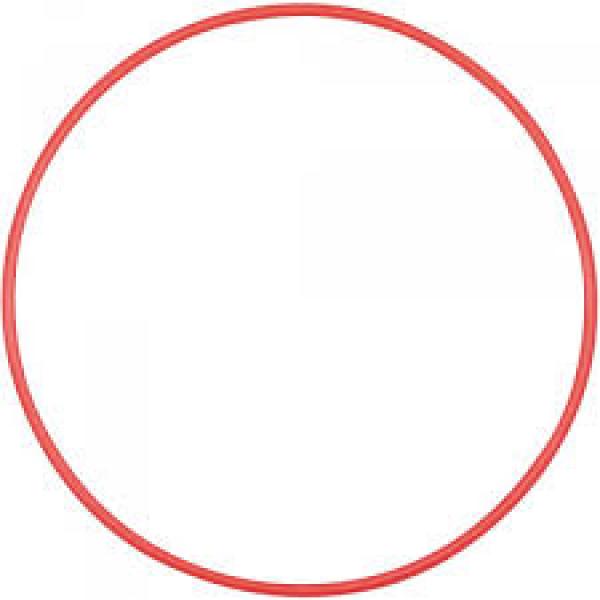 OLYMPUS O-ring for PT-EP10/EP06L/EP05L/EP03 [POL-EP03]