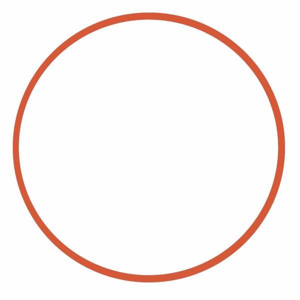 Seafrogs WA005 Ersatz O-Ring Silikon