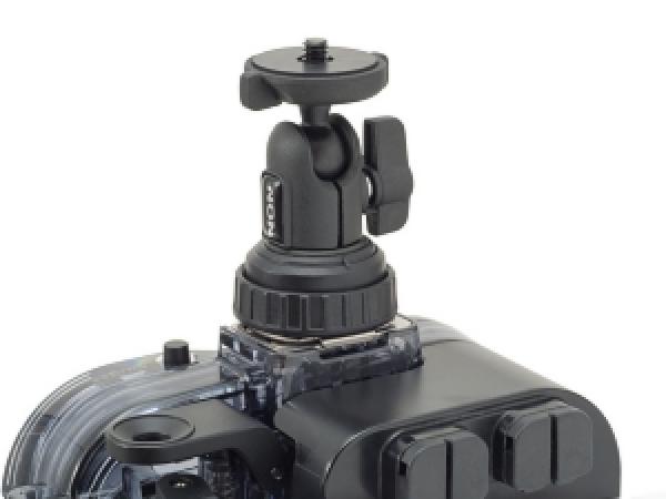 INON Shoe Base 1/4-20UNC