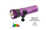 KELDAN Video 8XR 17000lm CRI96