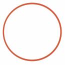 Seafrogs WA005 Ersatz O-Ring Silikon